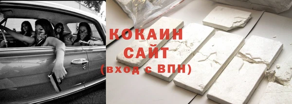 шишки Бородино