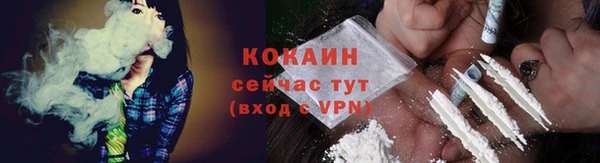 шишки Бородино