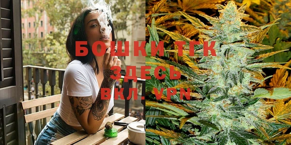 шишки Бородино
