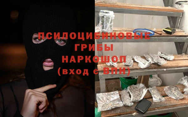 шишки Бородино