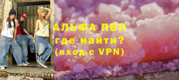 шишки Бородино