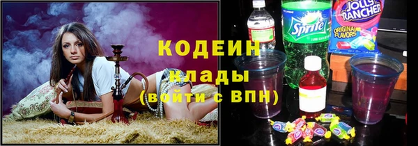 шишки Бородино