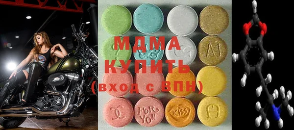 шишки Бородино