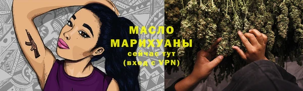 шишки Бородино