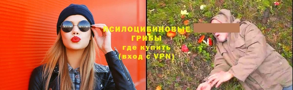 шишки Бородино