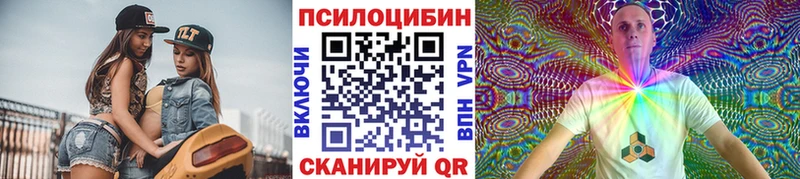 Псилоцибиновые грибы Psilocybine cubensis  Макаров 